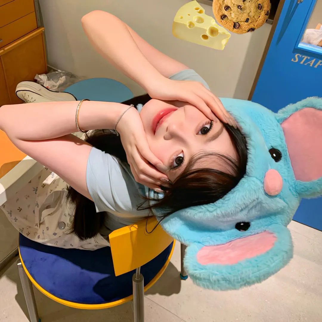 狗仔有喜事
